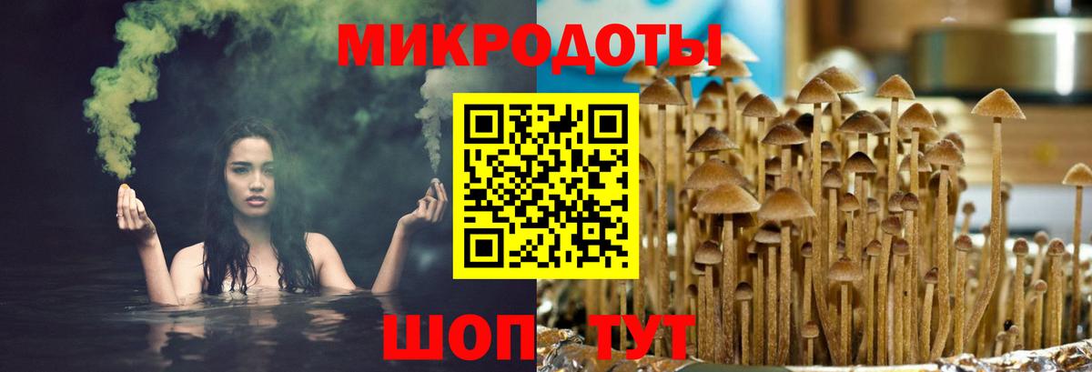 Новошахтинск  Галлюциногенные грибы MAGIC MUSHROOMS  Псилоцибиновые грибы прущие грибы  Вход с VPN 